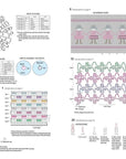 Amazing Japanese Crochet Stitches: A Stitch Dictionary and Design Resource - Keiko Okamoto - The Little Yarn Store