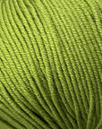 Bellissimo 8 - Bellissimo 265 Basil - The Little Yarn Store