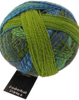 Schoppel-Wolle Starke 6 - Schoppel-Wolle 2136 Spring Has Come! - The Little Yarn Store