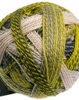 Schoppel-Wolle Starke 6 - Schoppel-Wolle 2204 Green Week - The Little Yarn Store