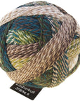 Schoppel-Wolle Starke 6 - Schoppel-Wolle 2250 Jack and Trousers - The Little Yarn Store