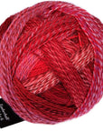 Schoppel-Wolle Starke 6 - Schoppel-Wolle 2620 Red in a Suit - The Little Yarn Store