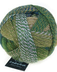Schoppel-Wolle Zauberball Crazy - Schoppel-Wolle 2292 Shooting Star - The Little Yarn Store