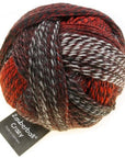 Schoppel-Wolle Zauberball Crazy - Schoppel-Wolle 2337 Mars Experiment - The Little Yarn Store