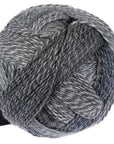 Schoppel-Wolle Zauberball Crazy - Schoppel-Wolle 2428 Mud Pack - The Little Yarn Store