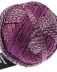 Schoppel-Wolle Zauberball Crazy - Schoppel-Wolle 2543 Dark Roses - The Little Yarn Store