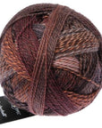 Schoppel-Wolle Zauberball Crazy - Schoppel-Wolle 2544 Late Autumn - The Little Yarn Store