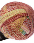 Schoppel-Wolle Zauberball Crazy - Schoppel-Wolle 2545 Early Autumn - The Little Yarn Store