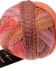 Schoppel-Wolle Zauberball Crazy - Schoppel-Wolle 2546 Warm Botanical Garden - The Little Yarn Store