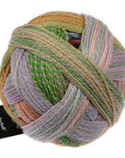 Schoppel-Wolle Zauberball Crazy - Schoppel-Wolle 2730 Nautilus - The Little Yarn Store
