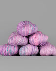 Spincycle Yarns Dyed in the Wool - Spincycle Yarns Dear Diary - The Little Yarn Store