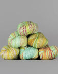 Spincycle Yarns Dyed in the Wool - Spincycle Yarns Field Day - The Little Yarn Store