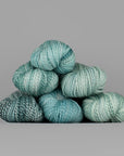 Spincycle Yarns Dyed in the Wool - Spincycle Yarns Havana - The Little Yarn Store