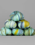 Spincycle Yarns Dyed in the Wool - Spincycle Yarns Light-Years - The Little Yarn Store