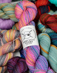 Spincycle Yarns Dyed in the Wool - Spincycle Yarns Afternoon Delight - The Little Yarn Store