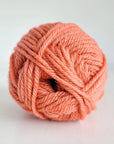 Woolly Yarn Co Woolly 8-Ply - Woolly Yarn Co - 16 Melon Dollar Baby - The Little Yarn Store