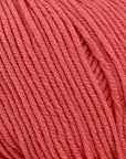Bellissimo 8 - Bellissimo 233 Melon - The Little Yarn Store