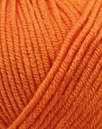 Bellissimo 8 - Bellissimo 244 Mandarin - The Little Yarn Store