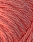 Fiddlesticks Finch - Fiddlesticks 6236 Coral - The Little Yarn Store