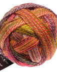 Schoppel-Wolle Starke 6 - Schoppel-Wolle 2516 Evening Hour - The Little Yarn Store