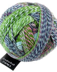Schoppel-Wolle Starke 6 - Schoppel-Wolle 2170 Not the Foggiest - The Little Yarn Store