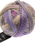 Schoppel-Wolle Starke 6 - Schoppel-Wolle 2514 Privy Council - The Little Yarn Store