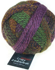 Schoppel-Wolle Zauberball Crazy - Schoppel-Wolle 2312 Piano Bar - The Little Yarn Store