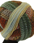 Schoppel-Wolle Zauberball Crazy - Schoppel-Wolle 1660 Riverbed - The Little Yarn Store