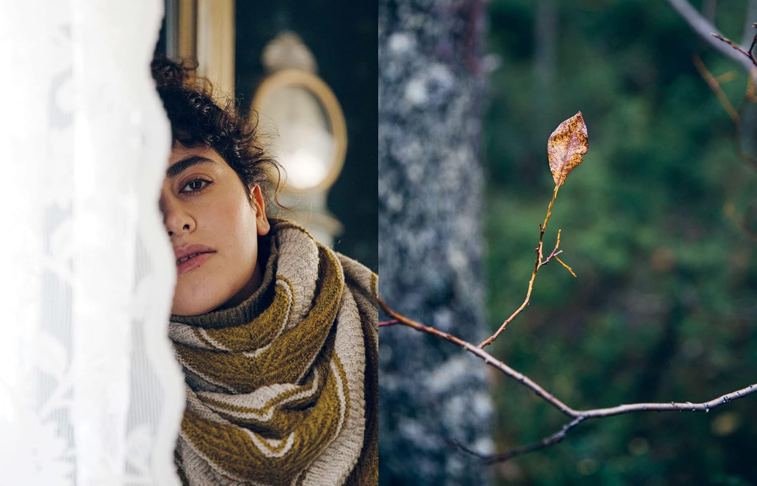 52 Weeks of Scarves - Laine - The Little Yarn Store