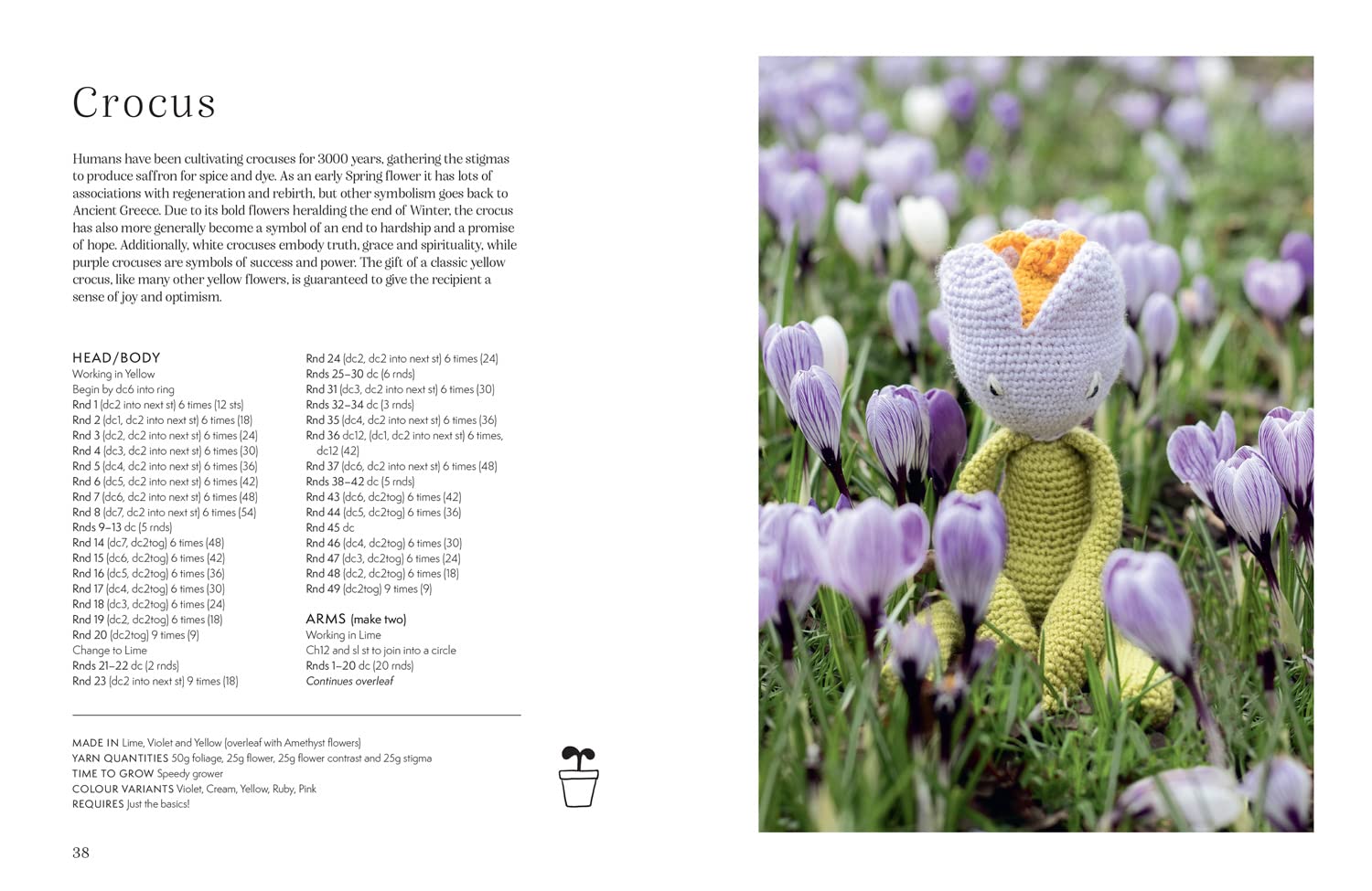 Alexandra's Garden Flowers: 30 Crochet Flower Patterns - Kerry Lord - The Little Yarn Store