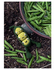 Alexandra's Garden Vegetables: 30 Crochet Vegetable Patterns - Kerry Lord - The Little Yarn Store