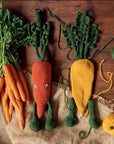 Alexandra's Garden Vegetables: 30 Crochet Vegetable Patterns - Kerry Lord - The Little Yarn Store