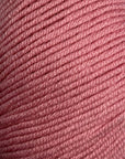 Bellissimo 8 - Bellissimo 263 Daisy - The Little Yarn Store