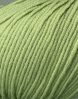 Bellissimo 8 - Bellissimo 264 Leaf - The Little Yarn Store