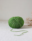 De Rerum Natura Alice - De Rerum Natura Fougère - The Little Yarn Store