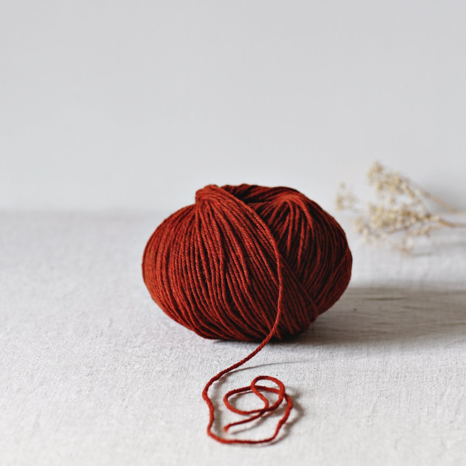 De Rerum Natura Gilliatt - De Rerum Natura - Érable - The Little Yarn Store