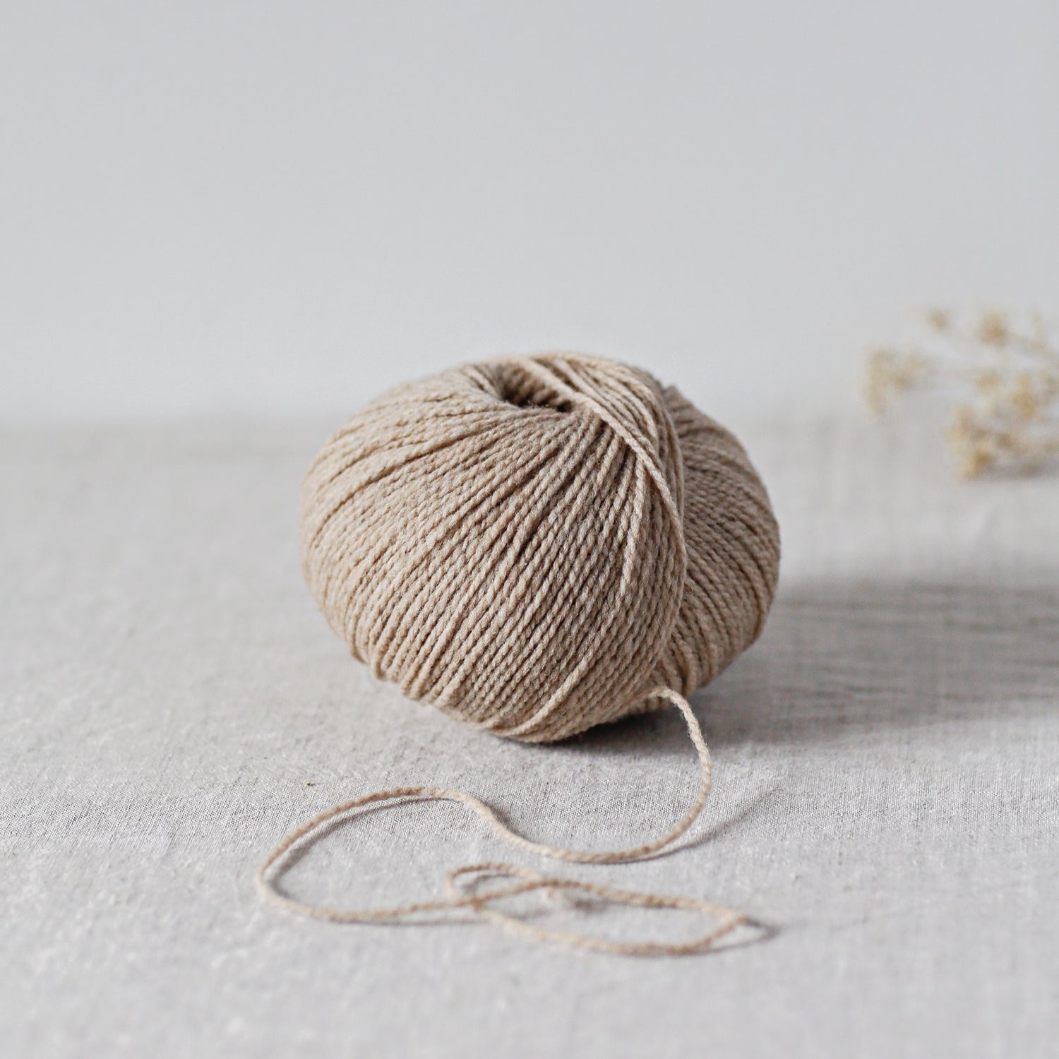 De Rerum Natura Ulysse - De Rerum Natura Biche - The Little Yarn Store