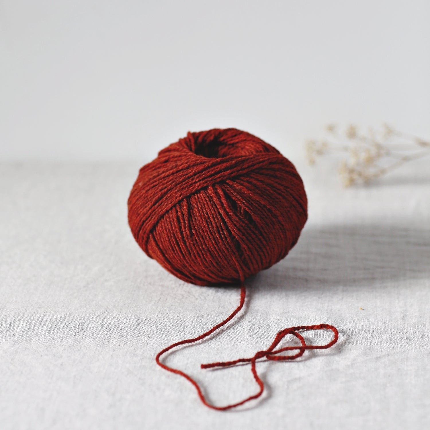 De Rerum Natura Ulysse - De Rerum Natura - Érable - The Little Yarn Store