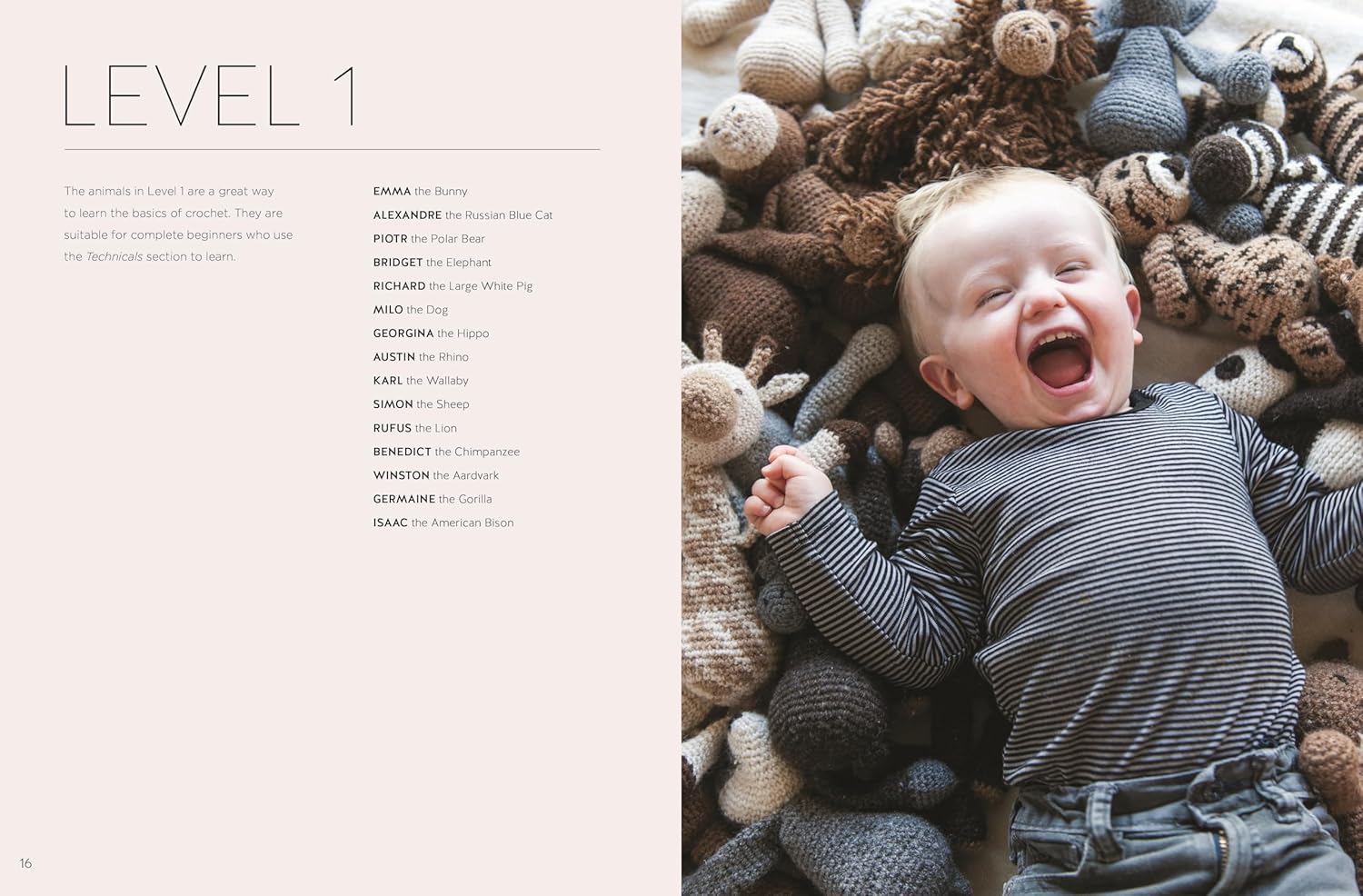 Edward's Menagerie New Edition - Kerry Lord - The Little Yarn Store