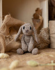 How to Crochet Animals: Pets - Kerry Lord - The Little Yarn Store
