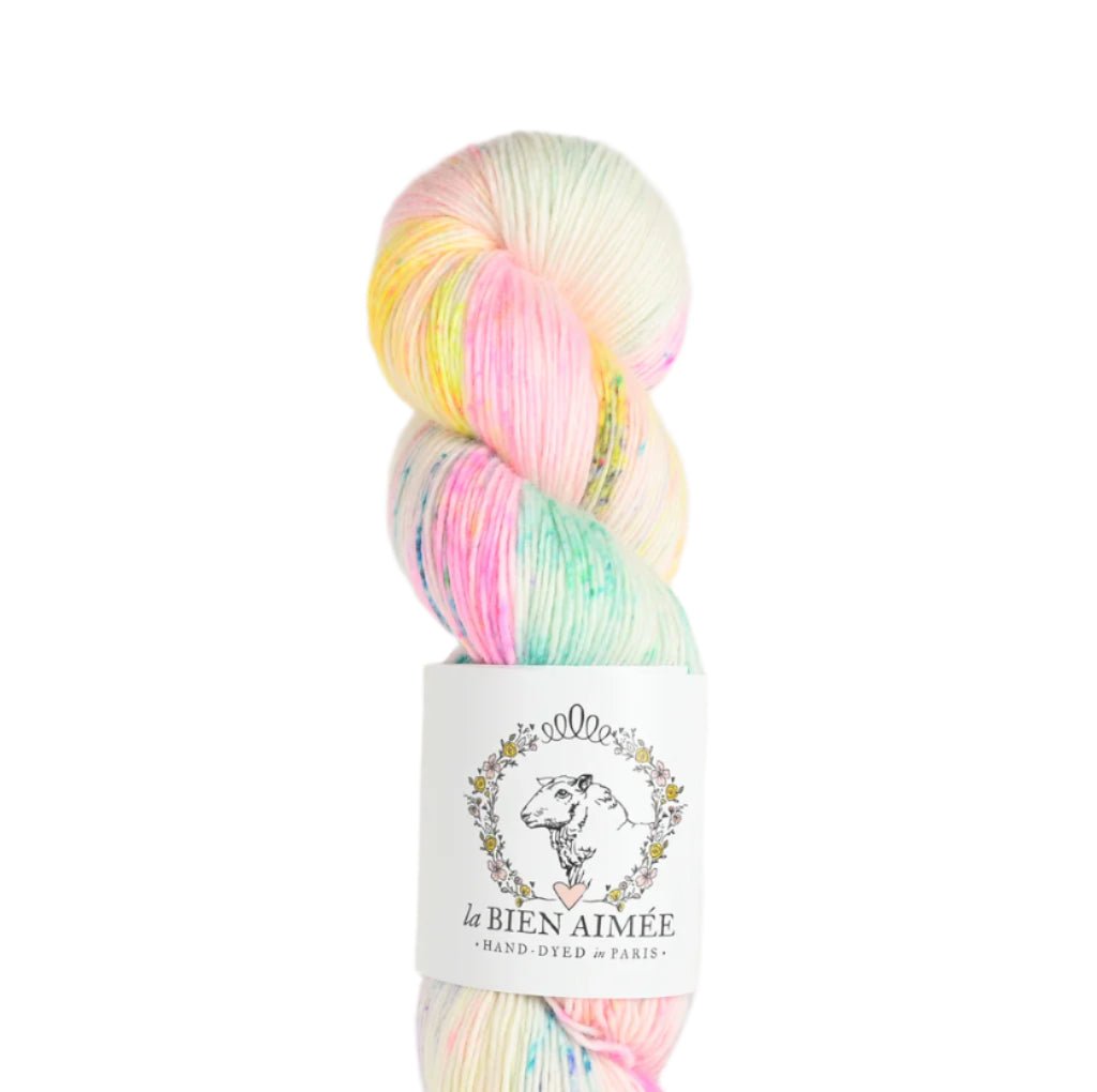 La Bien Aimée Merino Singles - La Bien Aimée Confetti Cake - The Little Yarn Store