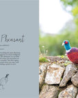 Magical Woodland Knits - Claire Garland - The Little Yarn Store
