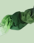 Scheepjes Cotton Whirl - Scheepjes 709 Lettuce Party - The Little Yarn Store