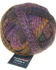 Schoppel-Wolle Starke 6 - Schoppel-Wolle 2312 Piano Bar - The Little Yarn Store