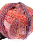 Schoppel-Wolle Starke 6 - Schoppel-Wolle 2546 Warm Botanical Garden - The Little Yarn Store