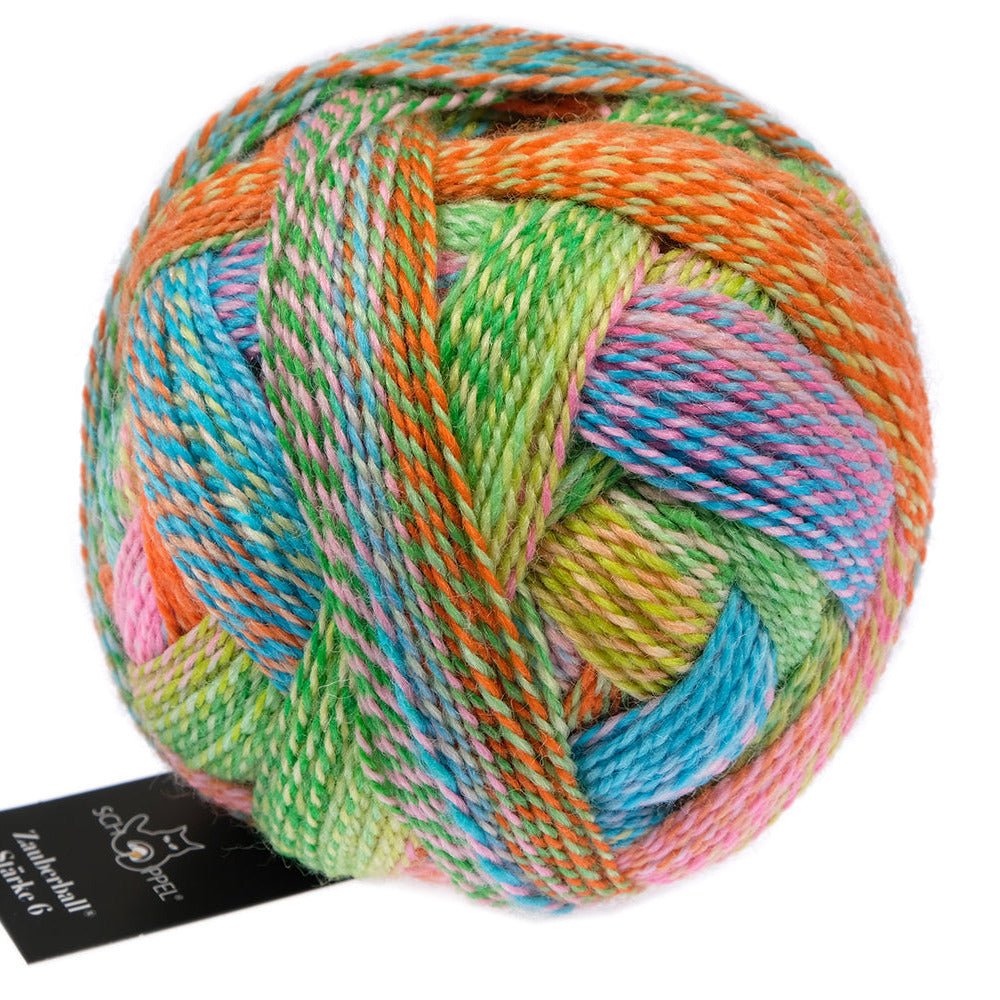 Schoppel-Wolle Starke 6 - Schoppel-Wolle 2728 Boygroup - The Little Yarn Store