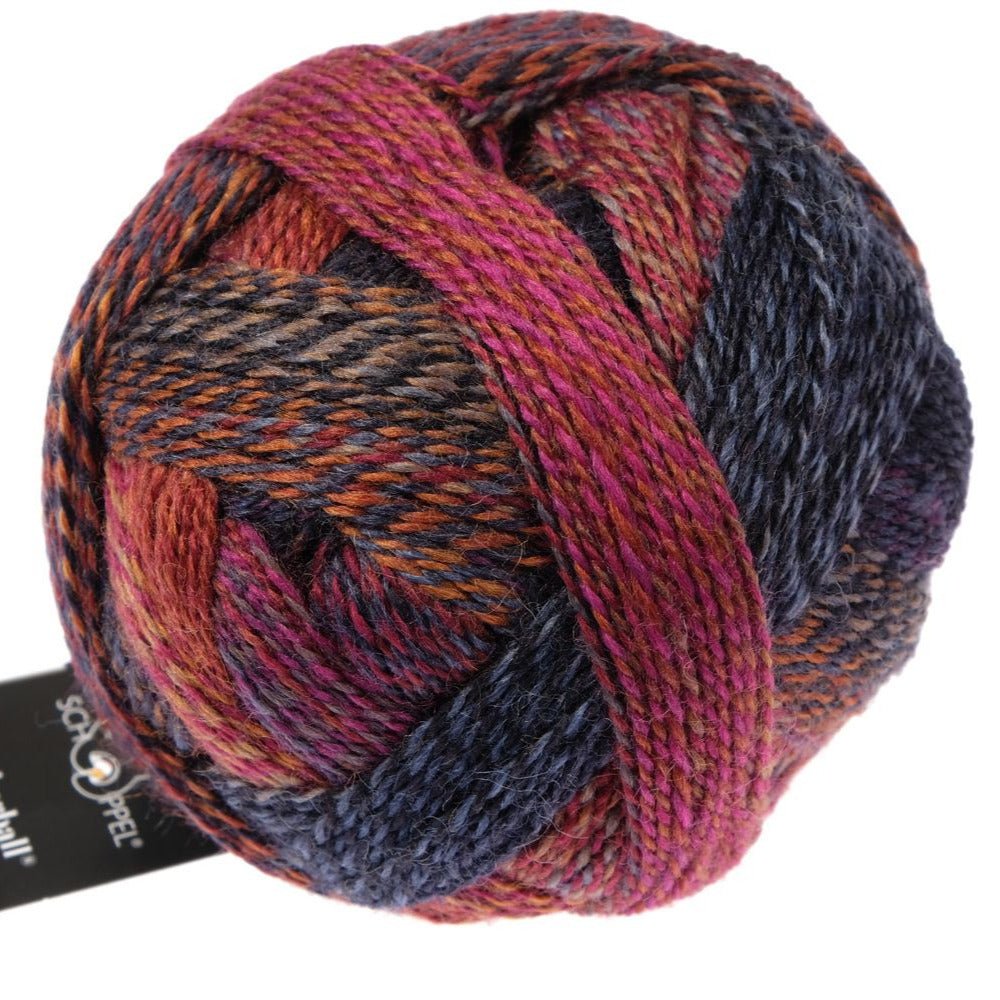 Schoppel-Wolle Zauberball Crazy - Schoppel-Wolle 2248 Cinnamon Bun - The Little Yarn Store