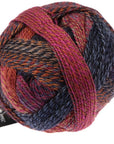 Schoppel-Wolle Zauberball Crazy - Schoppel-Wolle 2248 Cinnamon Bun - The Little Yarn Store
