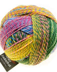 Schoppel-Wolle Zauberball Crazy - Schoppel-Wolle 2334 Malerwinkel - The Little Yarn Store