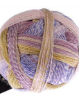 Schoppel-Wolle Zauberball Crazy - Schoppel-Wolle 2473 Attractant - The Little Yarn Store